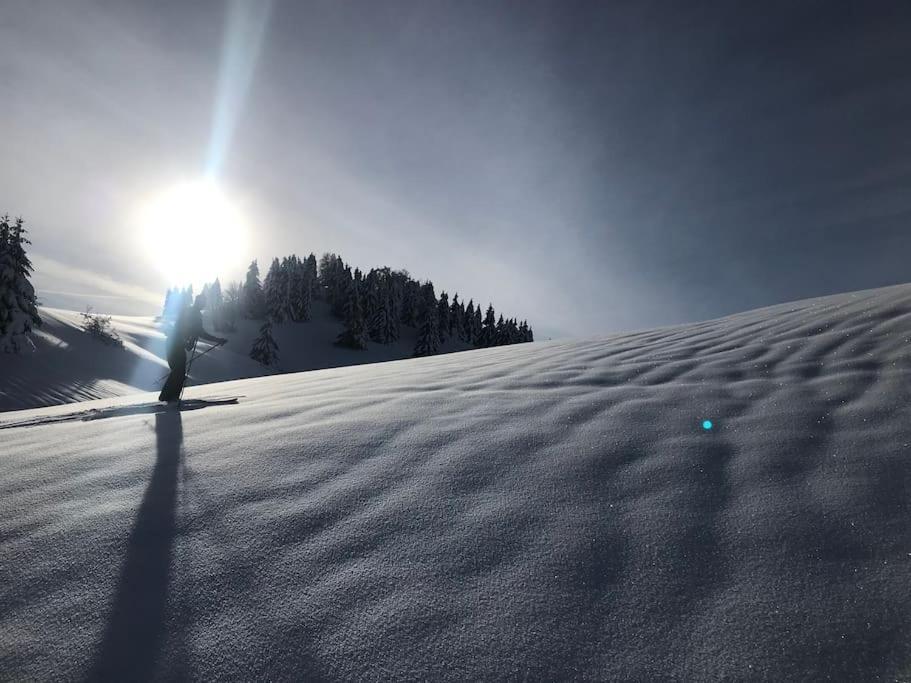 Studio Chaleureux Au Depart Des Sentiers Et Pistes De Ski Lajoux Kültér fotó