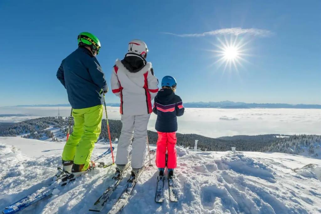 Studio Chaleureux Au Depart Des Sentiers Et Pistes De Ski Lajoux Kültér fotó