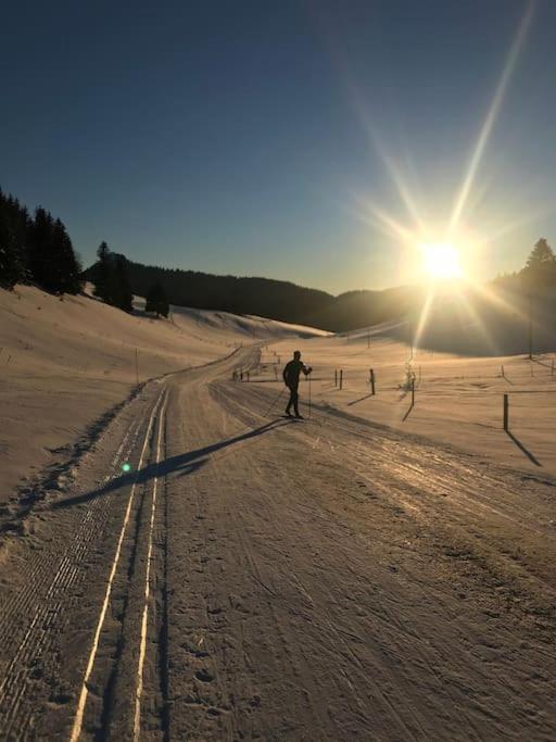 Studio Chaleureux Au Depart Des Sentiers Et Pistes De Ski Lajoux Kültér fotó