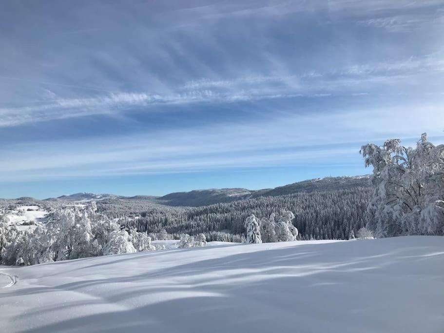 Studio Chaleureux Au Depart Des Sentiers Et Pistes De Ski Lajoux Kültér fotó