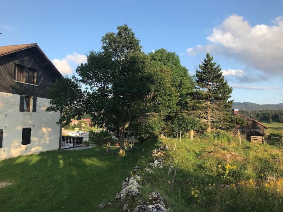 Studio Chaleureux Au Depart Des Sentiers Et Pistes De Ski Lajoux Kültér fotó